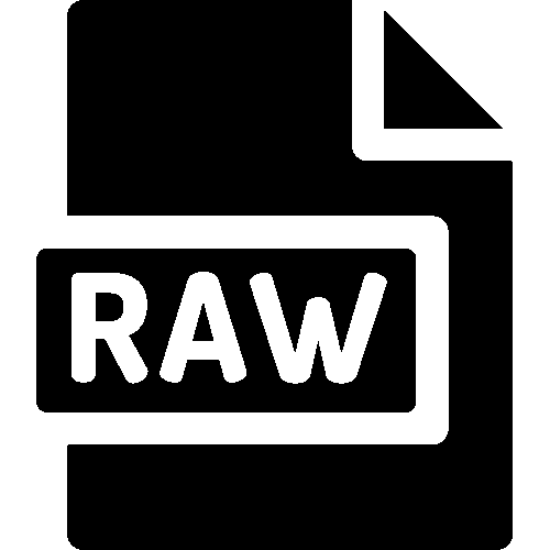 Simplified Icon of a digital RAW image file that represents digital photography.